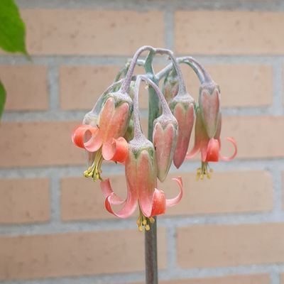 Fotografía tomada por alcantara
