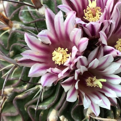 Fotografía tomada por because