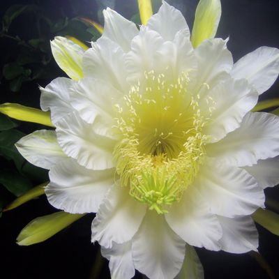 Fotografía tomada por cuaradr6