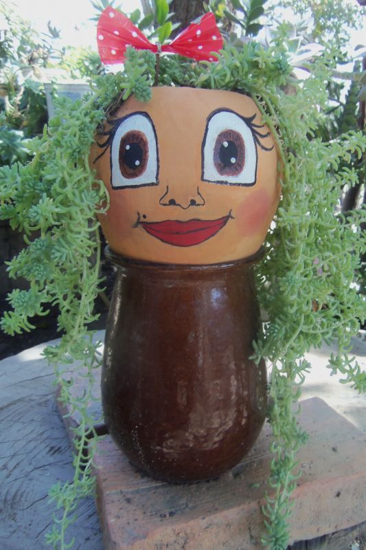 Foto de un cactus que se está identificando actualmente